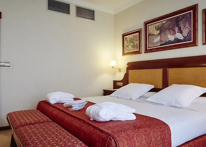 德费罗尔大酒店 4*