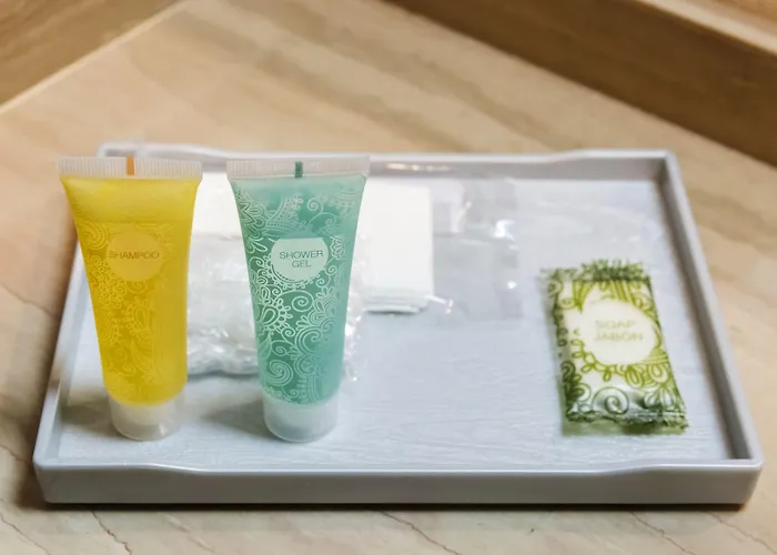 德费罗尔大酒店 费罗尔